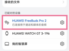 华为freebudspro2怎么开启智能佩戴检测_怎么设置佩戴检测[多图]