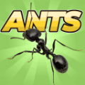 口袋蚂蚁模拟器中文免费版下载_口袋蚂蚁模拟器免谷歌手游下载2022v1.2 安卓版
