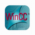 wincc(视窗控制软件)