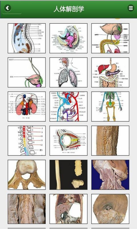 解剖学知识app手机版下载_解剖学知识安卓版下载v3.2 安卓版 运行截图1