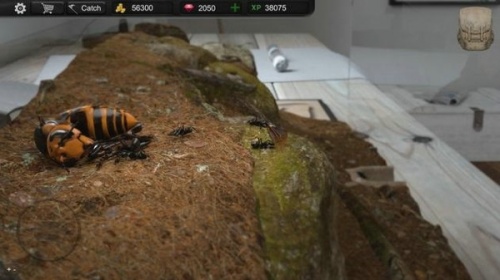 蚂蚁模拟大亨中文免费版下载_蚂蚁模拟大亨2022最新版下载v1.5.7 安卓版 运行截图3
