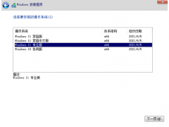 win11中文版演示安装教程[多图]