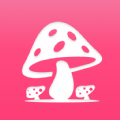 蘑菇赏盲盒购物app下载_蘑菇赏最新版下载v1.0.1 安卓版
