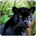 丛林黑豹模拟器手游下载_丛林黑豹模拟器安卓版下载v6 安卓版