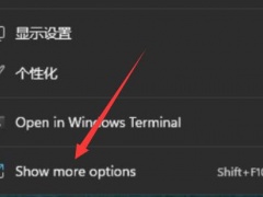 win11在哪里打开显卡控制面板[多图]