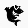 黑鲨装机大师官网下载2022_黑鲨装机大师 v12.8.50 电脑版下载