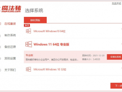 电脑怎样重装系统win11专业版[多图]