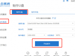 新手用u盘怎么装系统win11[多图]