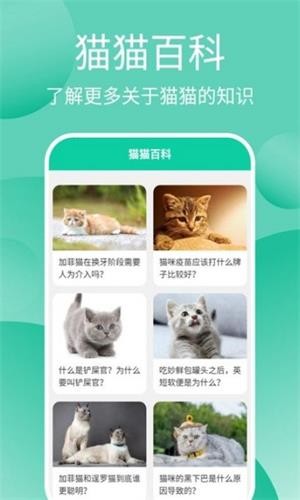 猫猫交流工具最新版app下载_猫猫交流工具免费版下载v3.3.4 安卓版 运行截图3
