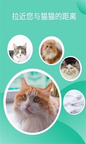 猫猫交流工具最新版app下载_猫猫交流工具免费版下载v3.3.4 安卓版 运行截图1
