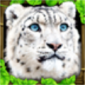 雪豹模拟中文免费版下载_雪豹模拟游戏下载v1.2 安卓版