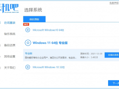 新手如何安装电脑系统win11[多图]