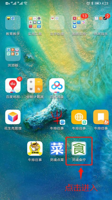 灵魂食疗手机版下载_灵魂食疗app最新下载v1.1 安卓版 运行截图1