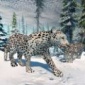 北极豹家族雪林模拟游戏安卓版下载_北极豹家族雪林模拟中文版下载v2.2 安卓版