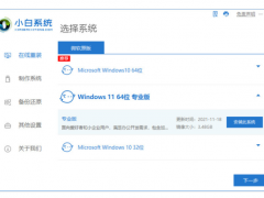 小白一键重装系统win11教程[多图]