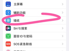 ios16怎么自定义表情符号壁纸_表情壁纸怎么设置[多图]