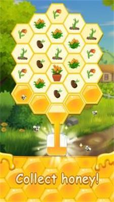 蜂蜜瓶游戏下载_蜂蜜瓶安卓最新版下载v1.0.4 安卓版 运行截图2