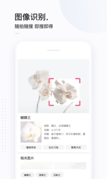 简单搜索app下载安装_简单搜索最新安卓版下载v3.9.2