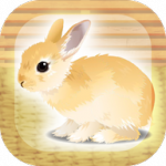 治愈的兔子手游下载_治愈的兔子安卓版下载v1.4 安卓版