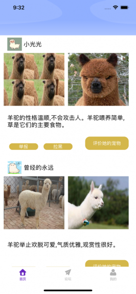 小羊驼app下载_小羊驼最新手机版下载v1.0 安卓版 运行截图1