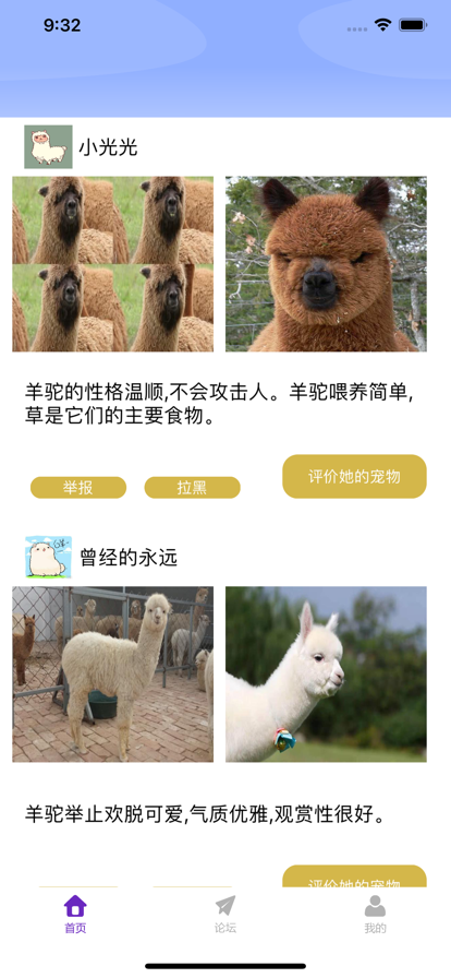 小羊驼app下载_小羊驼最新手机版下载v1.0 安卓版 运行截图1