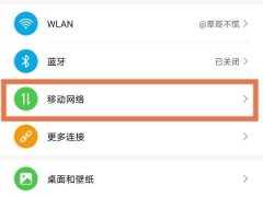 荣耀x40双卡怎么切换流量_荣耀双卡切换流量怎么设置[多图]