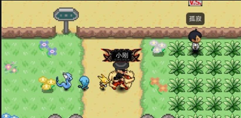 PokePlus最新版本下载_PokePlus手游免费版下载v0.1.3 安卓版 运行截图3