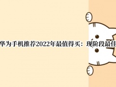 华为手机推荐2022年最值得买_华为手机推荐买哪款[多图]