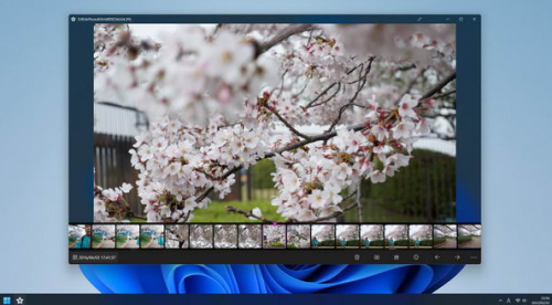 Sakura Photo Viewer下载_Sakura Photo Viewer最新免费最新版v15.0.0.0 运行截图3