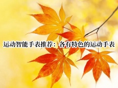 运动智能手表推荐_运动智能手表哪款比较好[多图]