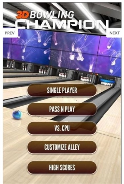 3d保龄球冠军手游下载_3d保龄球冠军中文最新版下载v1.5 安卓版 运行截图2
