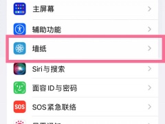 iphone14plus怎么设置动态壁纸_动态壁纸怎么设置[多图]