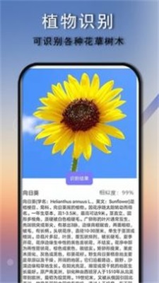拍照识别王app最新版下载_拍照识别王手机版下载v4.1.5 安卓版 运行截图2