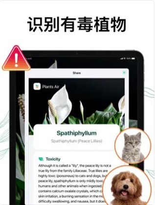 植物Air软件下载_植物Air最新版下载v1.0.0 安卓版 运行截图2