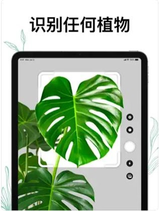 植物Air软件下载_植物Air最新版下载v1.0.0 安卓版 运行截图1