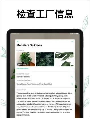 植物Air软件下载_植物Air最新版下载v1.0.0 安卓版 运行截图3