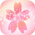 樱花壁纸app下载_樱花壁纸最新版下载v1.1 安卓版