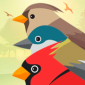 鸟类索赔app下载_鸟类索赔手机版下载v2.2 安卓版