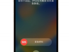 iphone14支持5g网络吗_iphone14有5g网络吗