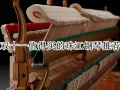 双十一值得买的珠江钢琴推荐_双十一珠江钢琴推荐排行榜[多图]