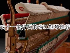 双十一值得买的珠江钢琴推荐_双十一珠江钢琴推荐排行榜[多图]