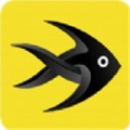 粉鱼生活app最新版下载_粉鱼生活2022安卓版下载v0.0.9 安卓版