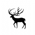 麋鹿记录仪app下载_麋鹿记录仪app最新版下载v1.5 安卓版
