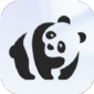 熊猫绘画生花手机版下载_熊猫绘画生花app下载v1.0.0 安卓版