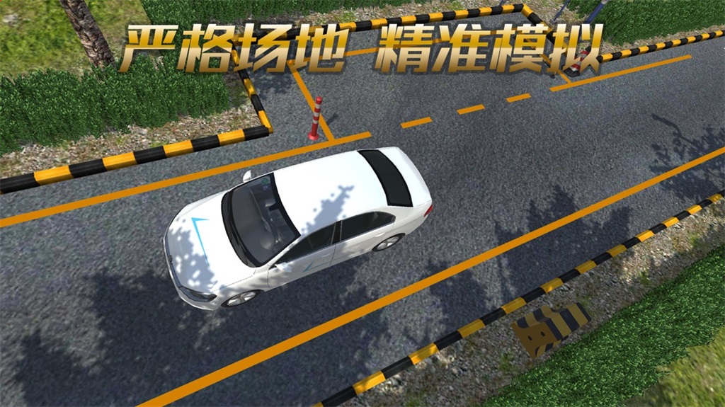疯狂考驾照免费最新版下载_疯狂考驾照游戏科目三下载v1.1.1 安卓版 运行截图2