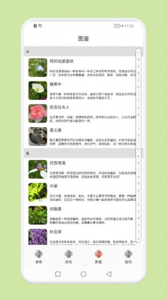 植物识别百科手机版下载_植物识别百科软件下载v1.0 安卓版 运行截图1