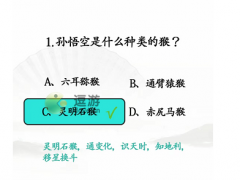 汉字找茬王西游6级考试答案攻略