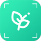识植物软件下载_识植物app下载v1.0.1 安卓版