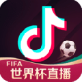 2022抖音世界杯