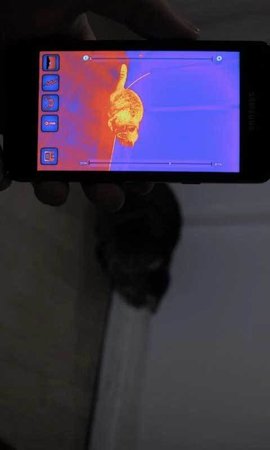 红外热成像相机app下载_红外热成像相机最新版下载v2.9.0 安卓版 运行截图3